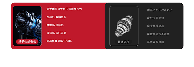 揚子性能電機